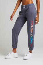 Load image into Gallery viewer, BTG X Staydium Light Weight Sweatpants in Grey