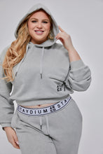 Load image into Gallery viewer, Staydium Cropped Hoodie in Grey